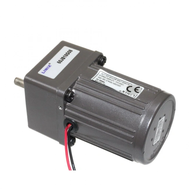 60mm 220V 70 RPM AC Motor YN60-10