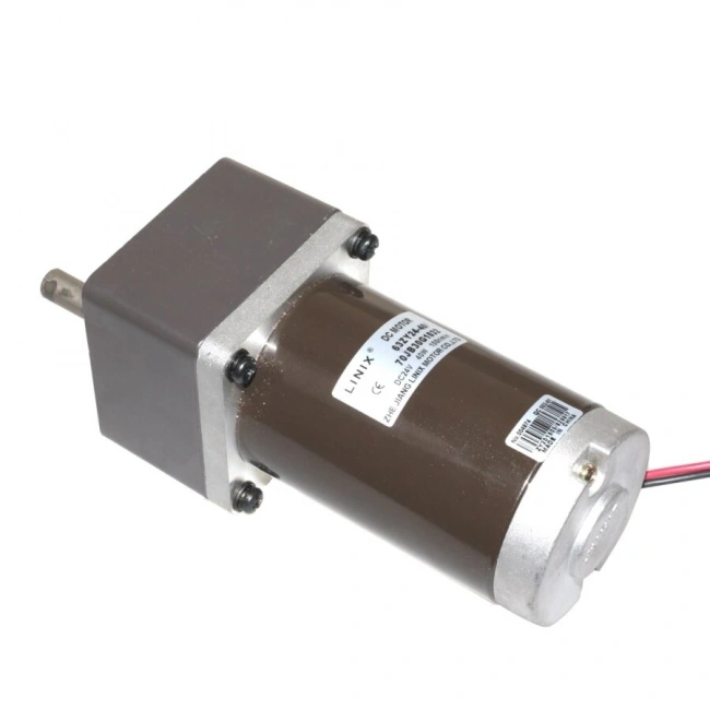 63ZY24-40 24V 100RPM DC Motor