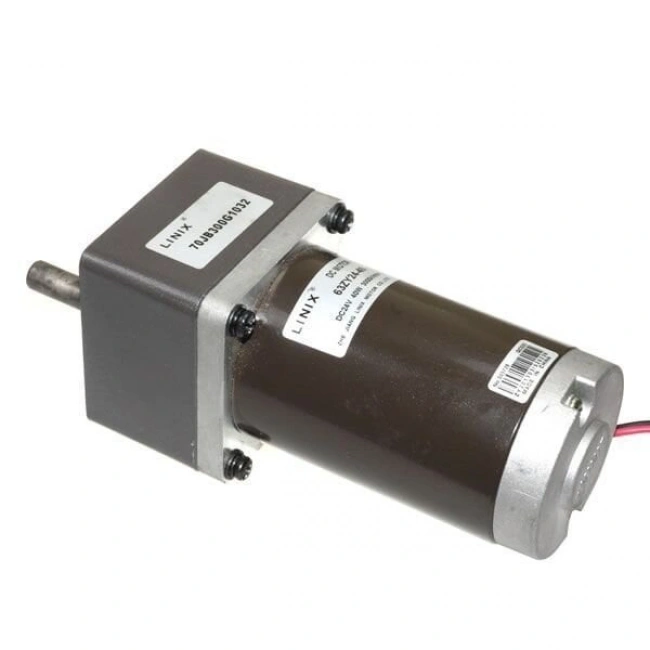 63ZY24-40 24V 10RPM DC Motor