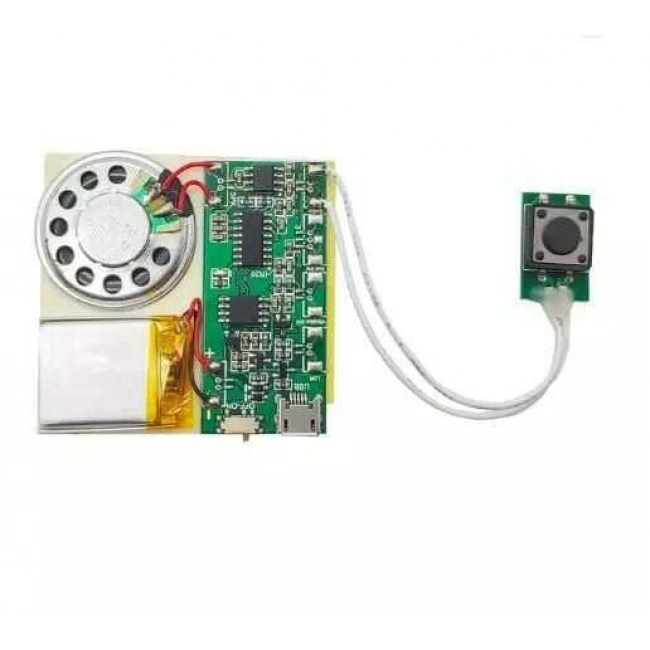 Buton Kontrollü Ses Kayıt ve Çalma Modülü