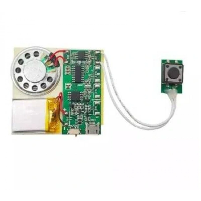 Buton Kontrollü Ses Kayıt ve Çalma Modülü