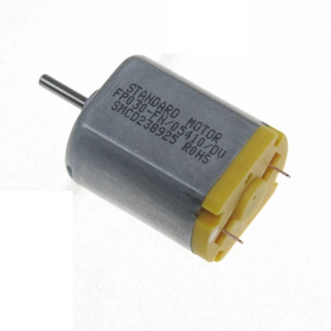 FP030 12V 7000RPM DC Motor
