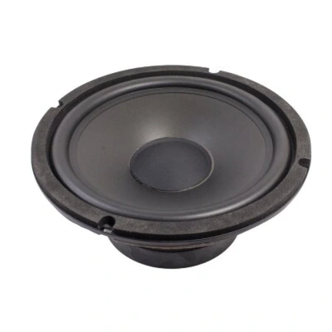 Hoparlör 8 ohm 8? 25W 8 205mm