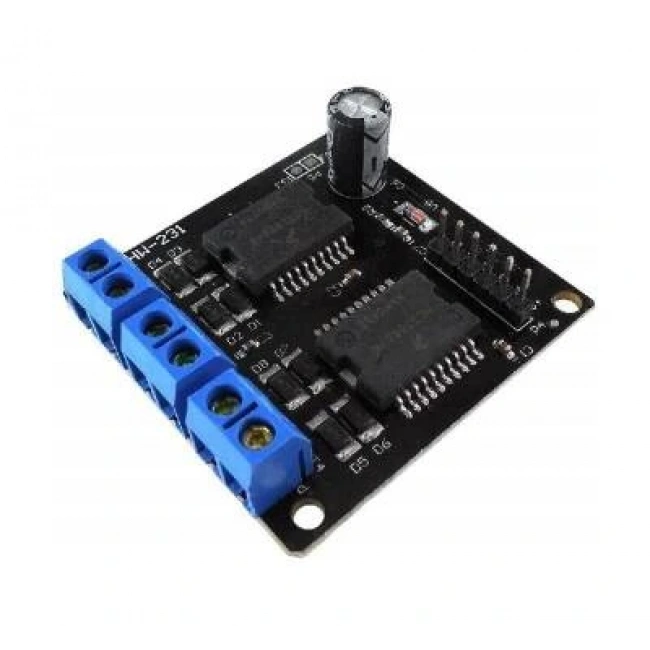 MC33886 Motor Sürücü Kartı