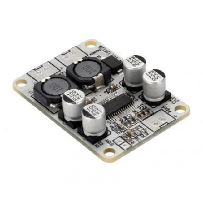 TPA3110 1*30W Mono Amfi Devresi