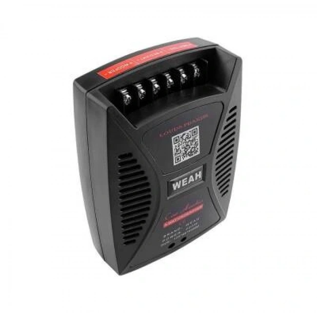 WEAH-530 220W 3 Yollu Crossover - Araç Ses Filtresi Frekans Bölücü