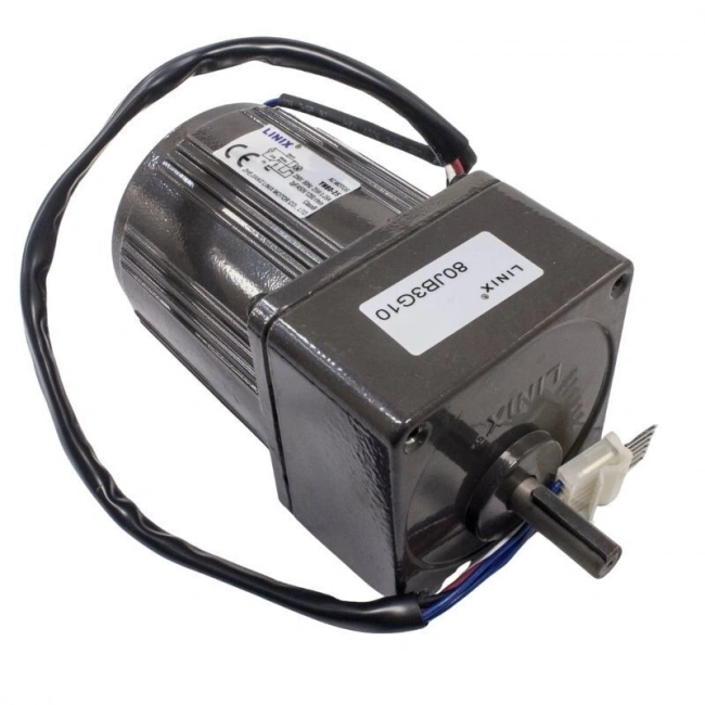 YN80-220-25 220V 420RPM AC Motor