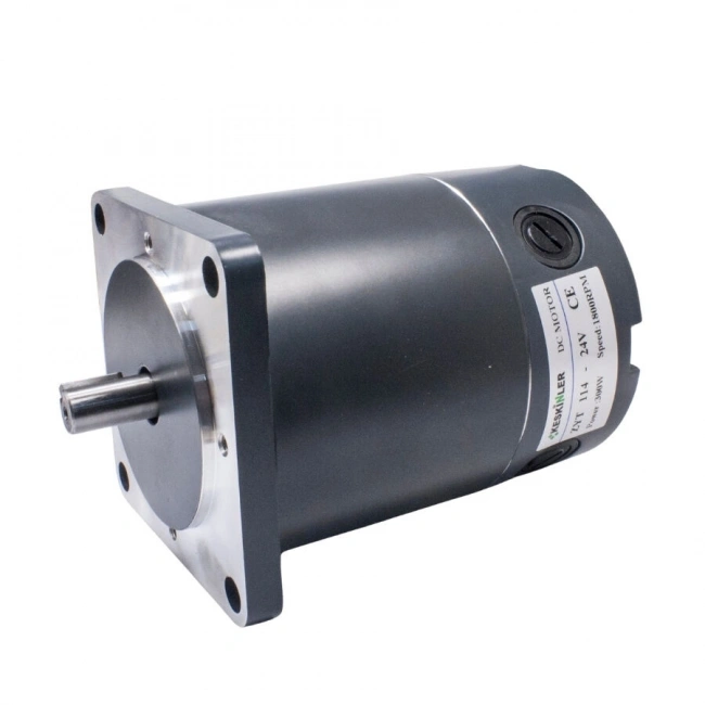 ZYT-114 24V 300W 1800RPM DC Motor