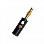 Born Klemens ve Banana Jack