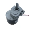 102ZY24-250-A-01 24V 82Rpm Yüksek Torklu Bisiklet Motoru