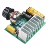 4000W 220V AC Voltaj Regülatörü Dimmer