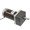 70mm 24V 200RPM DC Motor 63ZY24-40