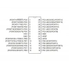 ATMEGA168PA-PU DIP-28 20MHz Mikrodenetleyici