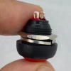 IC-184 Kırmızı Plastik Push Buton 12mm PBS-33B