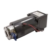 KGBX60F 12V 60RPM Frenli DC Motor