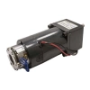KGBX60F 12V 60RPM Frenli DC Motor