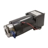KGBX60F 12V 60RPM Frenli DC Motor