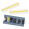 STM32F103C6T6A Geliştirme Kartı
