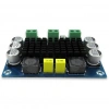 XH-M542 TPA3116D2 100W Mono Kanal Dijital Amfi Devresi 12-26V