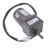 YN60/10W 60mm 220V 50 RPM AC Motor