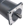 ZYT-114 24V 500W 3000RPM DC Motor