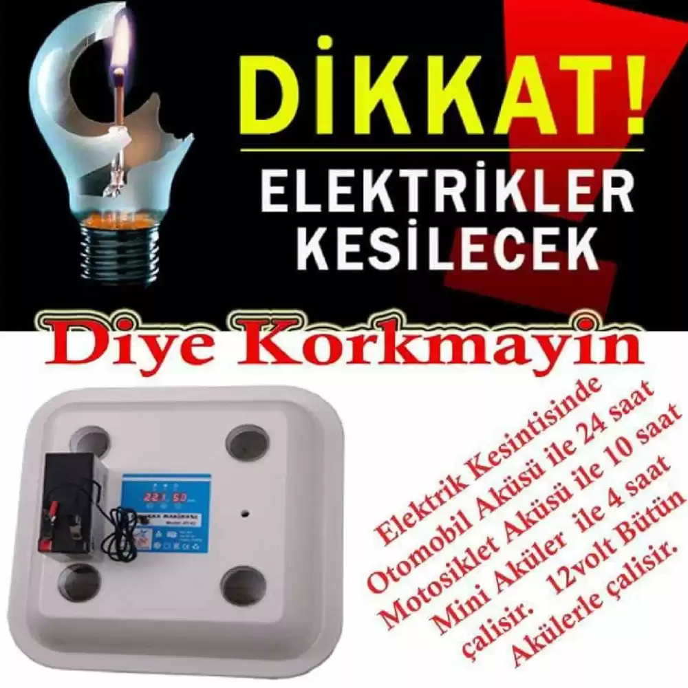 Ayyıldız Kuluçka Makinesi AY42-B