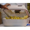 Ayyıldız Kuluçka Makinesi AY42-C