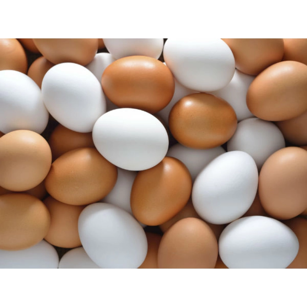 Sahte Yumurta (5 adet)