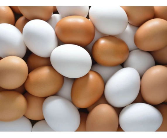 Sahte Yumurta (5 adet)