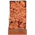 Reindeer moss MANGO şoklanmış norveç yosunu (250GR)