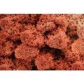 Reindeer moss SİENA şoklanmış norveç yosunu (250GR)