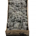Reindeer moss ANTRASİT şoklanmış norveç yosunu (30GR)