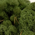Reindeer moss dark green şoklanmış norveç yosunu 5 kg
