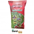 GrassSi Çim Tohumu Ithal 4lü Karışım 5 KG