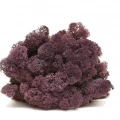 Reindeer moss AUBERGİNE(patlıcan) şoklanmış norveç yosunu