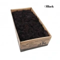 Reindeer moss BLACK(SİYAH) şoklanmış norveç yosunu