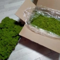 Reindeer moss lime green şoklanmış norveç yosunu 4 kg
