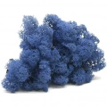 Reindeer moss mavi şoklanmış norveç yosunu