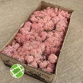 Reindeer moss ROZE(GÜL) şoklanmış norveç yosunu