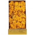 Reindeer moss sarı (hardal) şoklanmış norveç yosunu