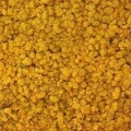 Reindeer moss sarı (hardal) şoklanmış norveç yosunu