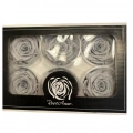 Rose Amor GRİ şoklanmış solmaz gül XL 6 lı paket