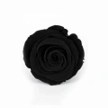 Rose Amor SİYAH şoklanmış solmaz gül XL