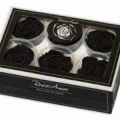 Rose Amor SİYAH şoklanmış solmaz gül XL 6 lı paket