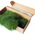Şoklanmış Flatmoss Kara Yosunu 500 Gr.