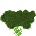 Şoklanmış Flatmoss Kara Yosunu 500 Gr.
