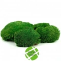 Top Yosun Şoklanmış Ort.250 Gr. Ballmoss Yosun Koyu Yeşil