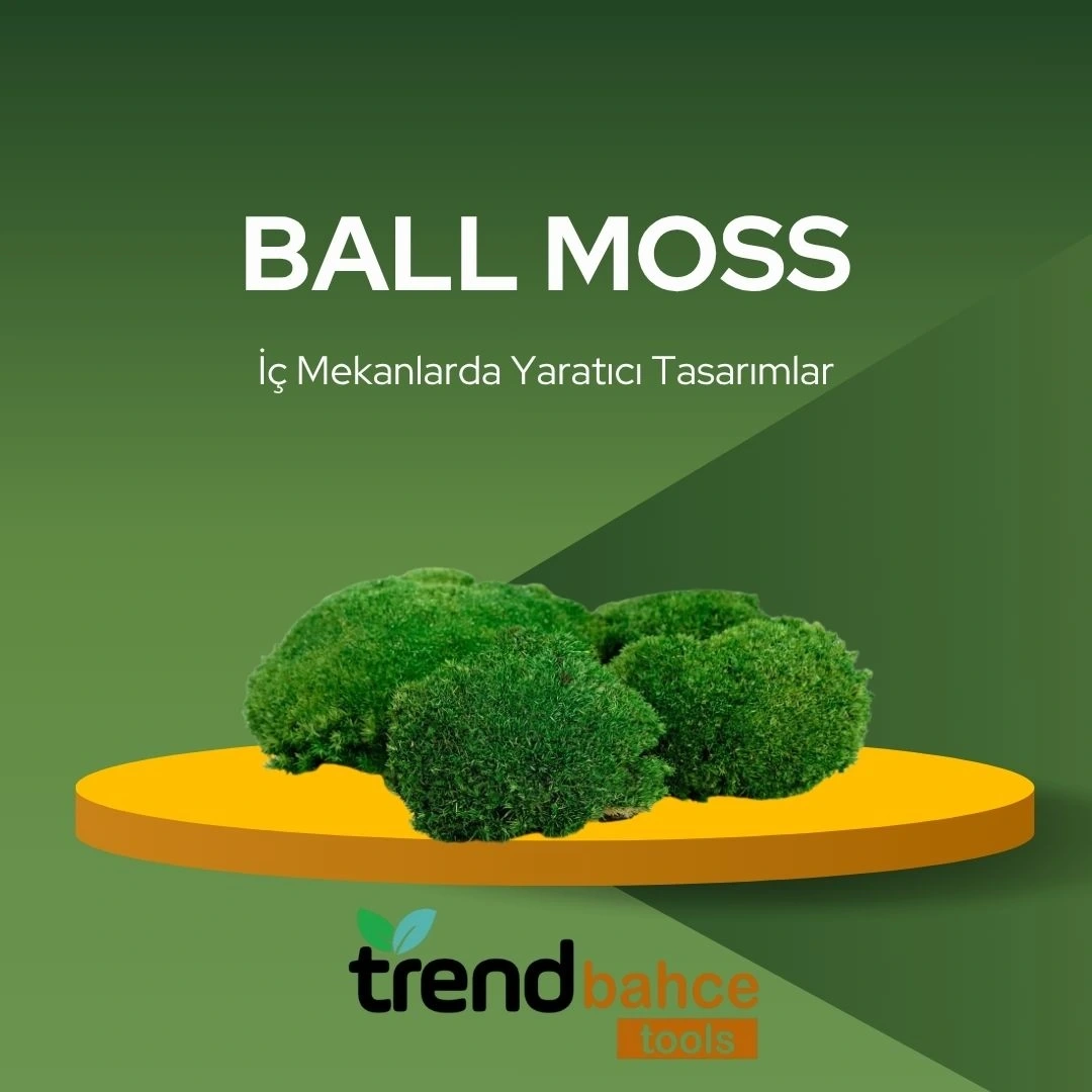 BALL MOSS K