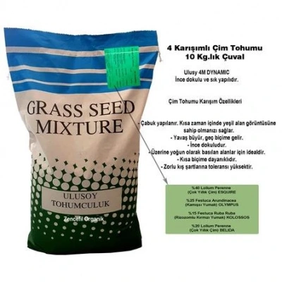 4m dynamic çim tohumu 10 kg