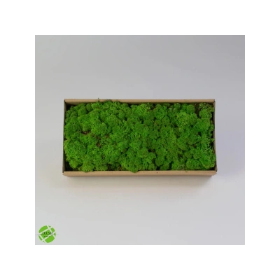 Reindeer moss FOREST şoklanmış norveç yosunu (250GR)